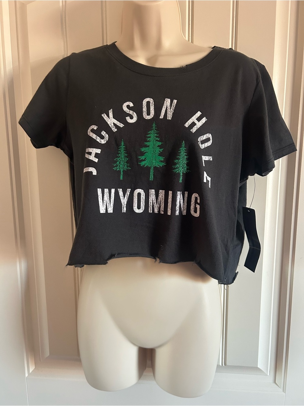 NWT Prince Peter Collection Jackson Hole Wyoming Black Crop Tee with Trees Sz XS